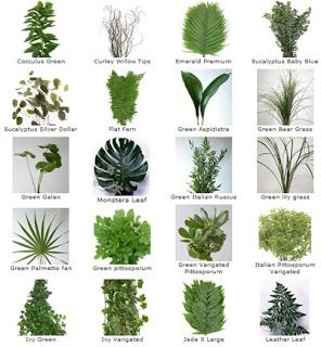 Fresh Cut Greens