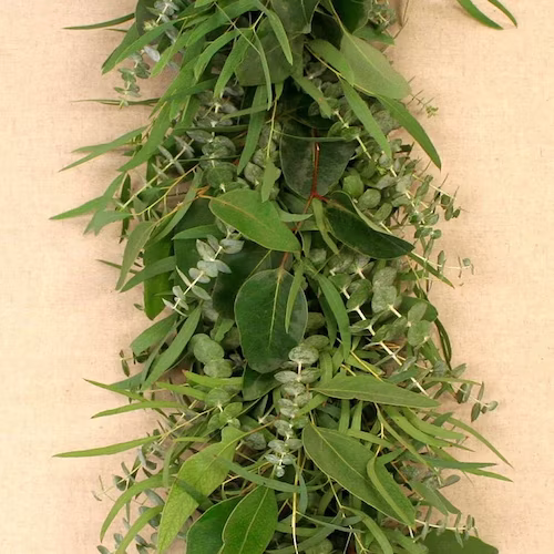 Mixed Eucalyptus Garland